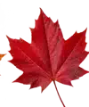 Fall leaf
